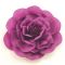 Purple Flower