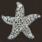Starfish Brooches