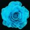 Fabric Flower PIn