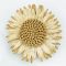 Straw Flower pin