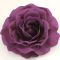 Purple Rose Flower