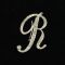 initial brooch R