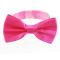 Men's bow tie