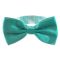 Men's bow tie