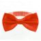 Men's bow tie