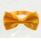 Men's bow tie