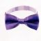 Men's bow tie