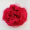 Fuchsia Flower Pin